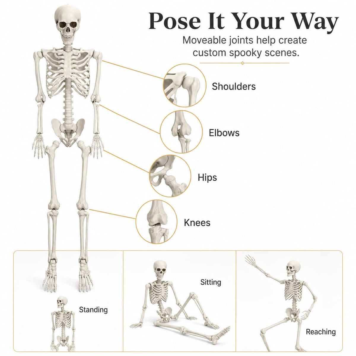 5.4 FT Poseable Skeleton E5715