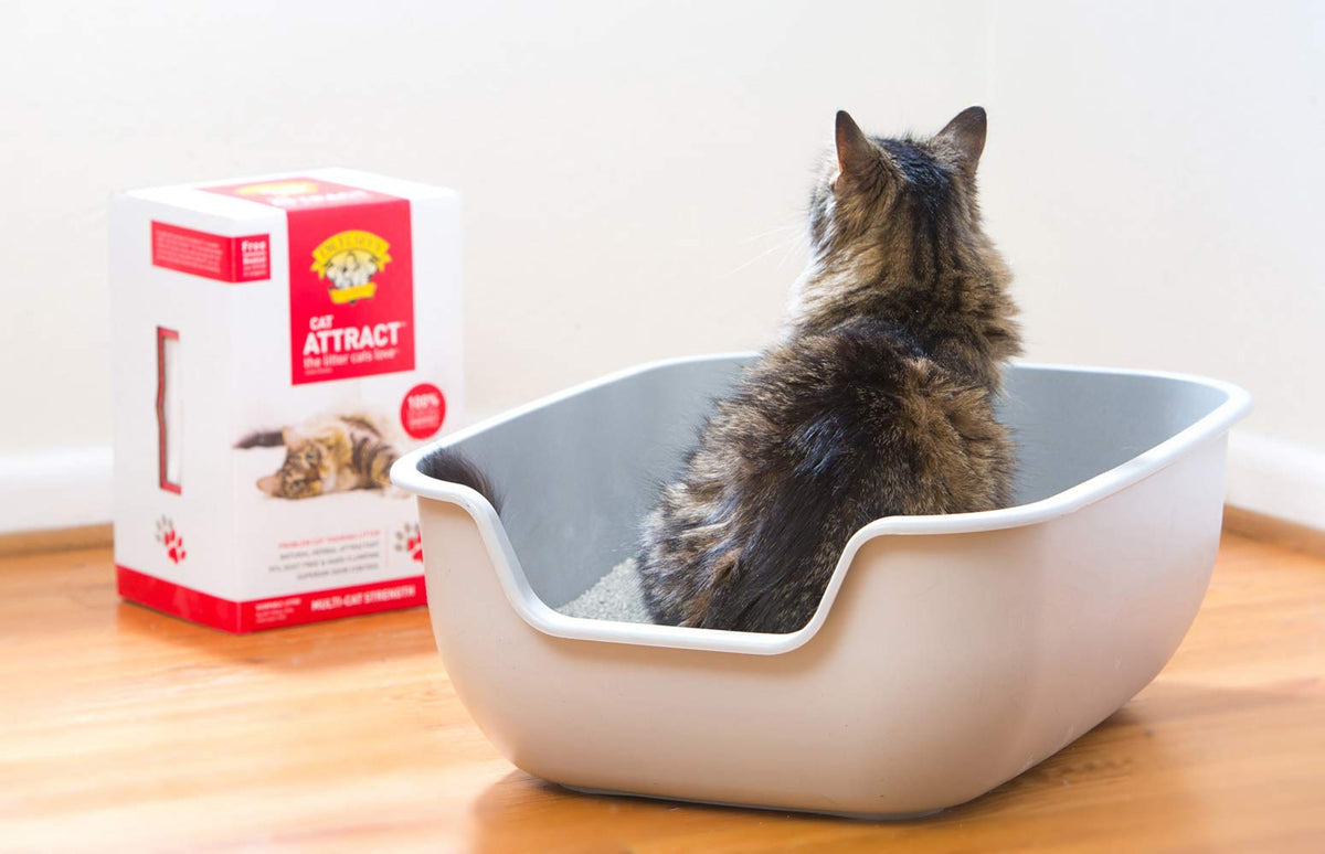 Cat Attract Training Litter 20 Pound P2577