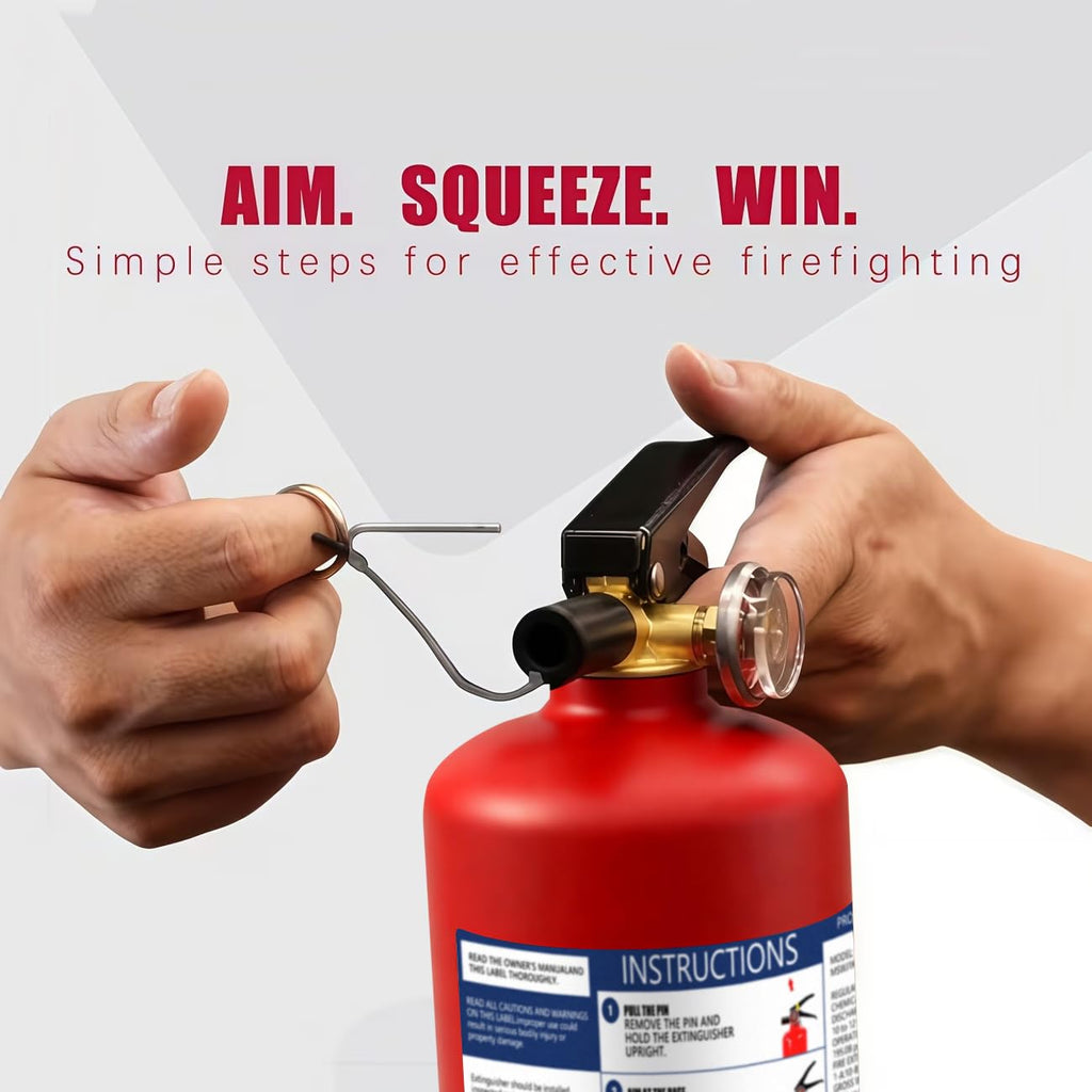 2.5 lb Dry Chemical Fire Extinguisher H224