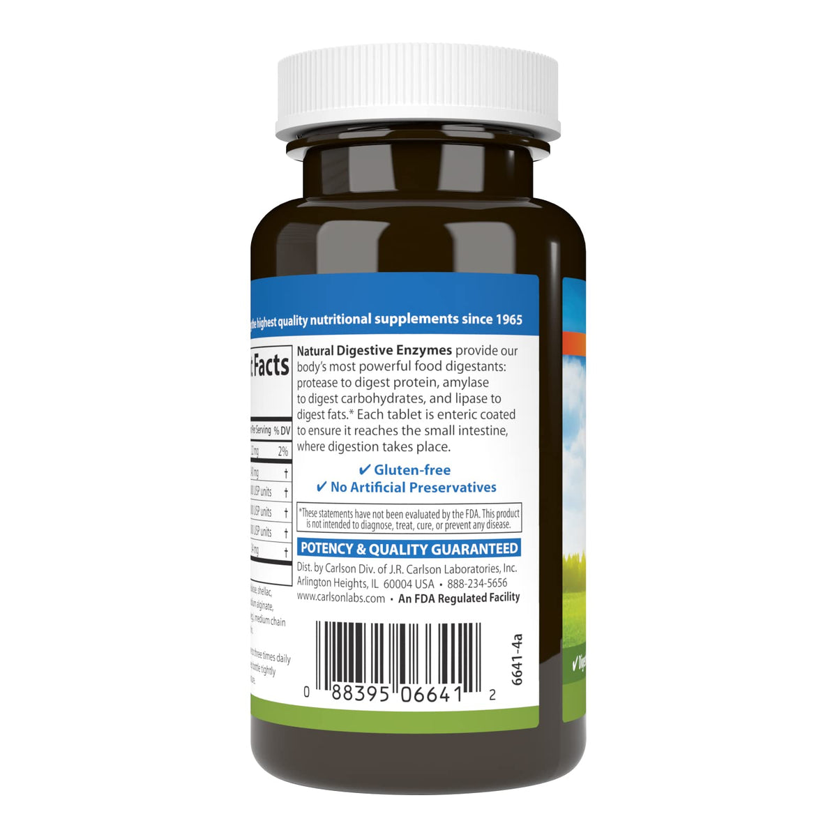 Natural Digestive Enzymes, 100 Tablets Q558281