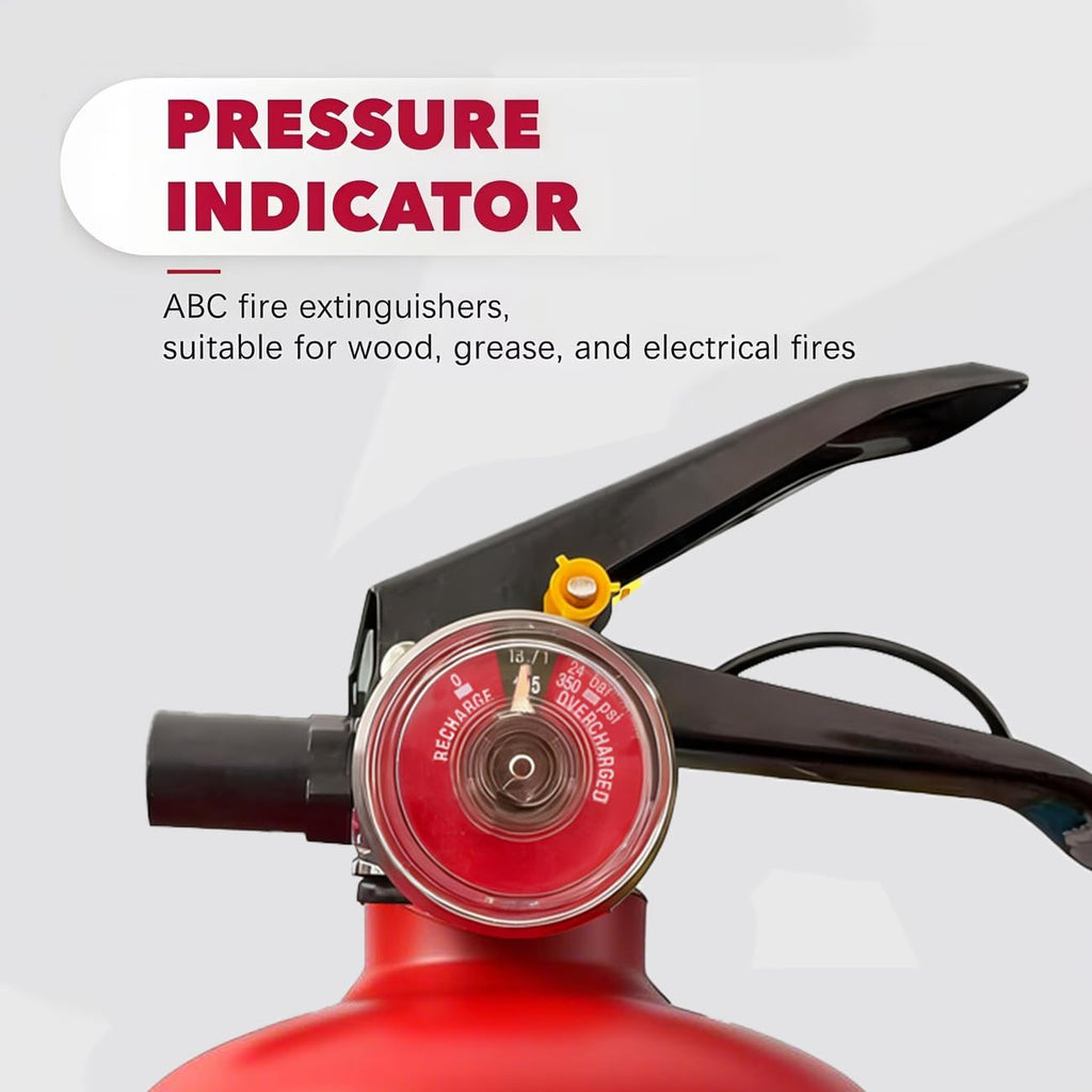 2.5 lb Dry Chemical Fire Extinguisher H224