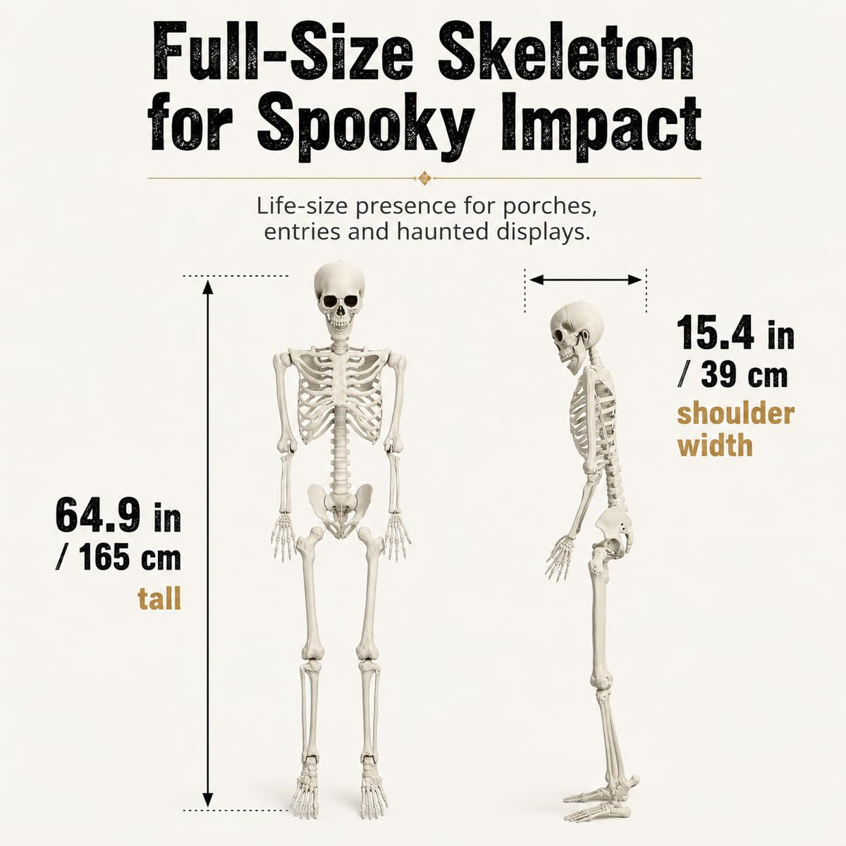 5.4 FT Poseable Skeleton E5715