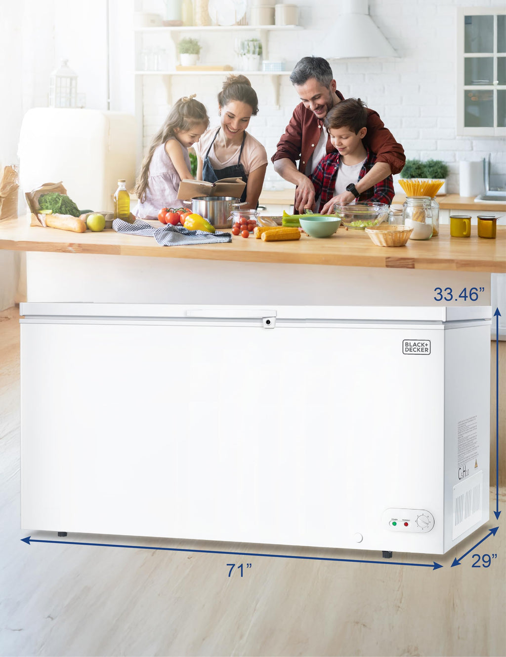 19.8 Cu. Ft. White Chest Freezer X8963