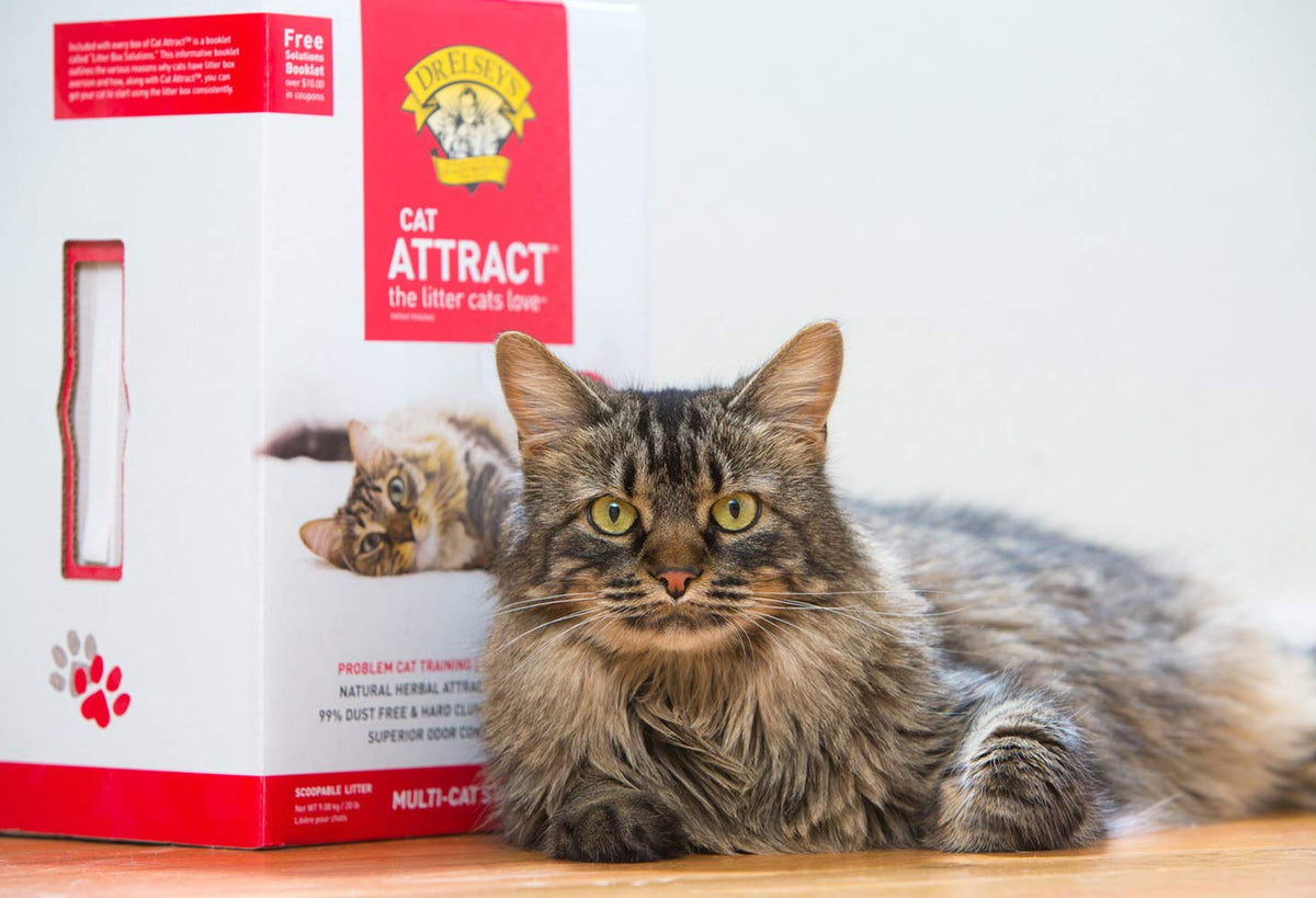 Cat Attract Training Litter 20 Pound P2577