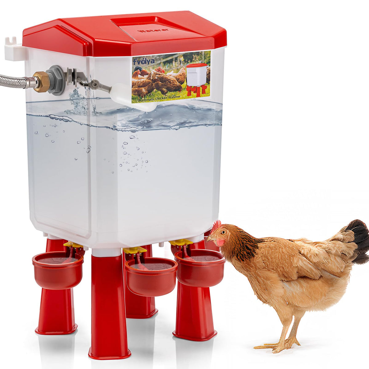 Automatic Chicken Waterer with Four Water Cups N27656