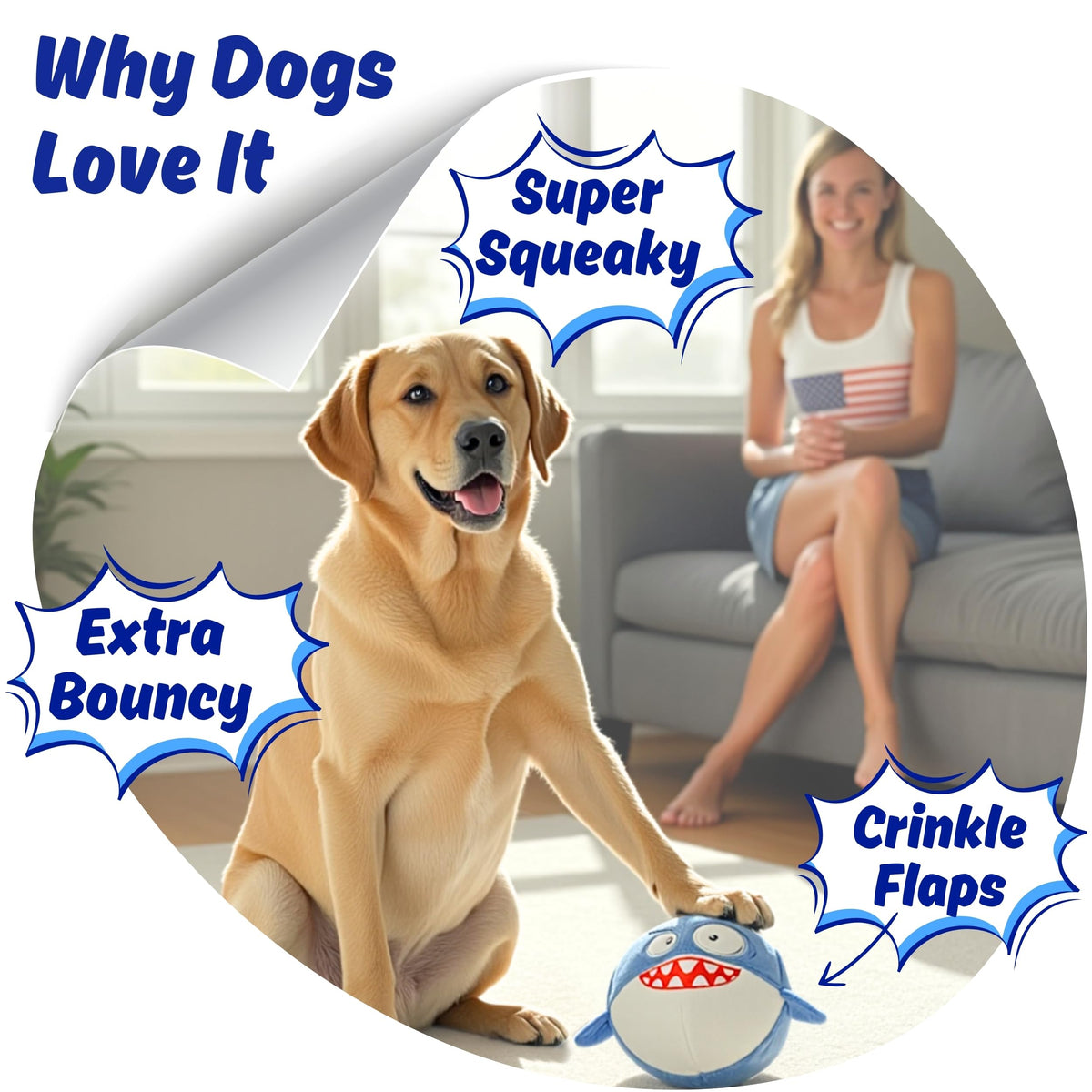 Tough Squeaky Chew Ball Dog Toy O2116