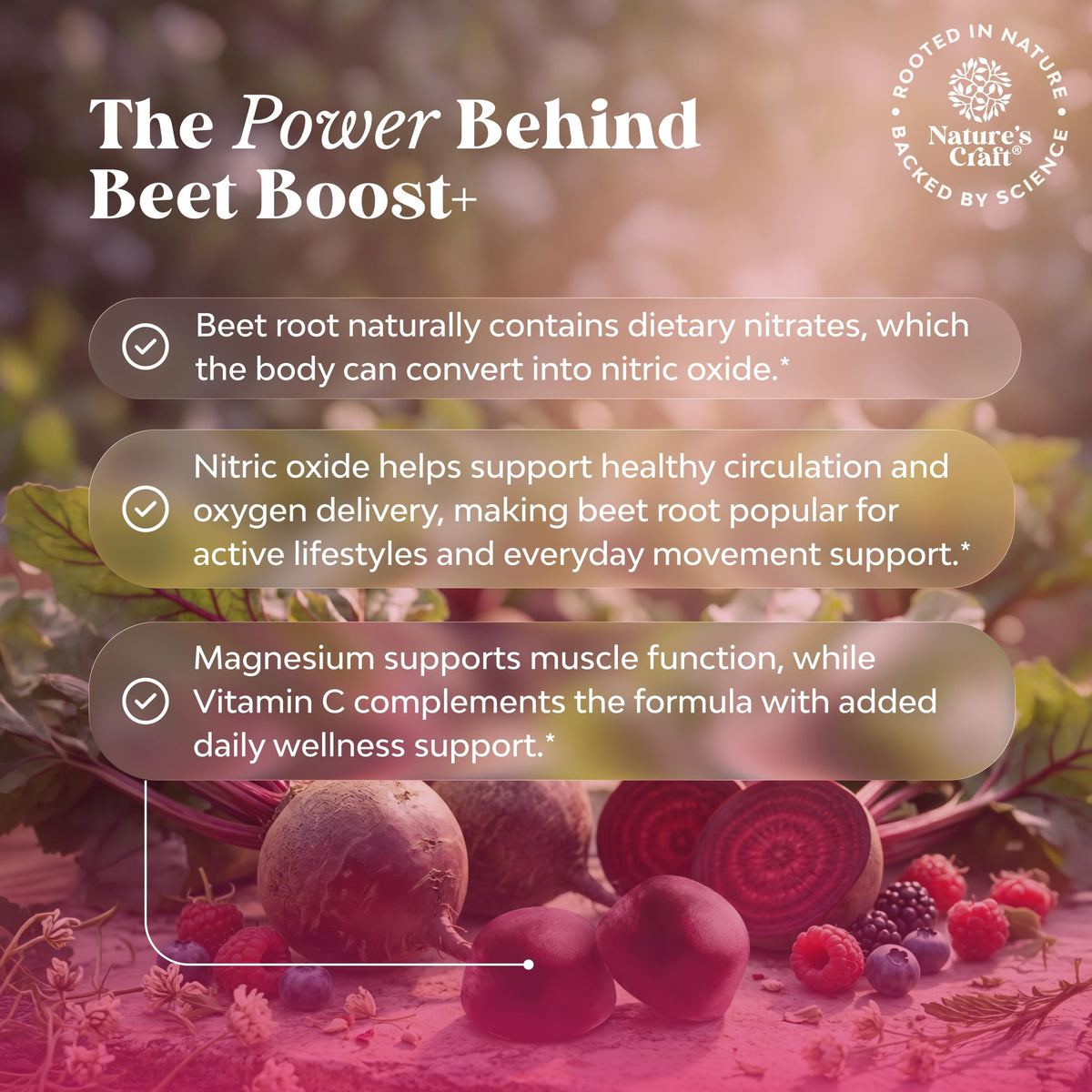 Beet Root Gummies with Vitamin C 60 Ct M282