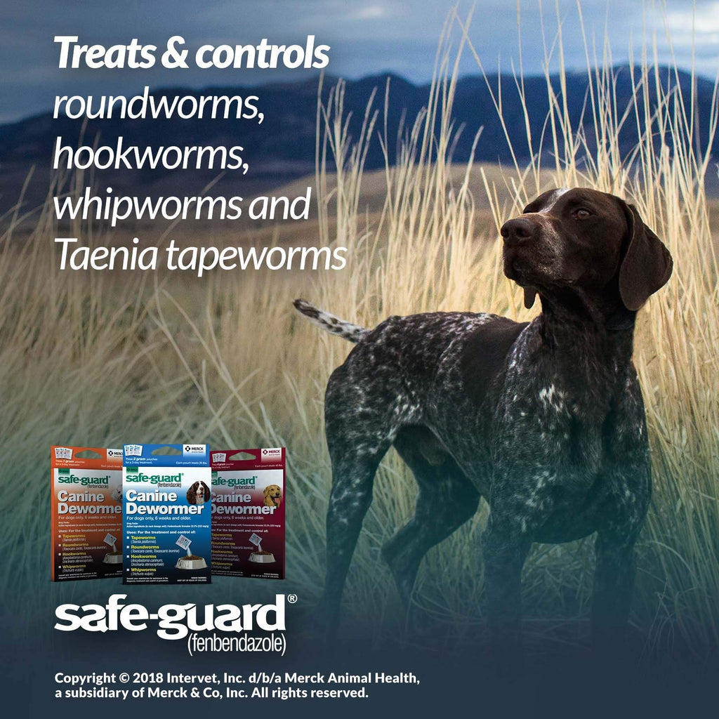 Canine Dewormer 4gm pouch O511381