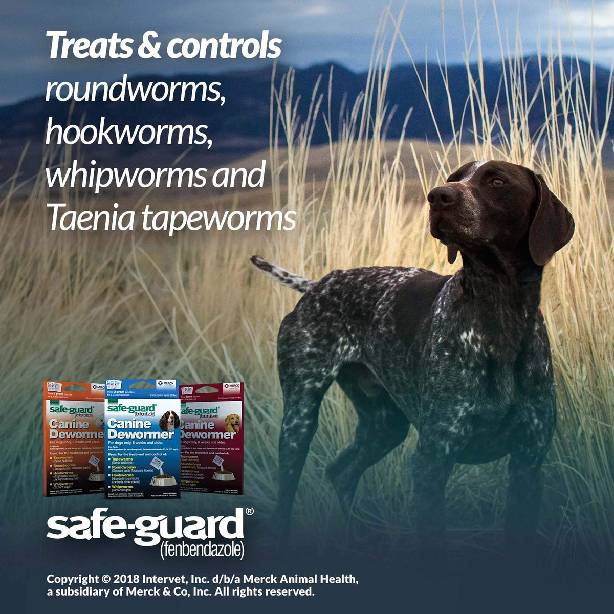 Canine Dewormer 4gm pouch O511381