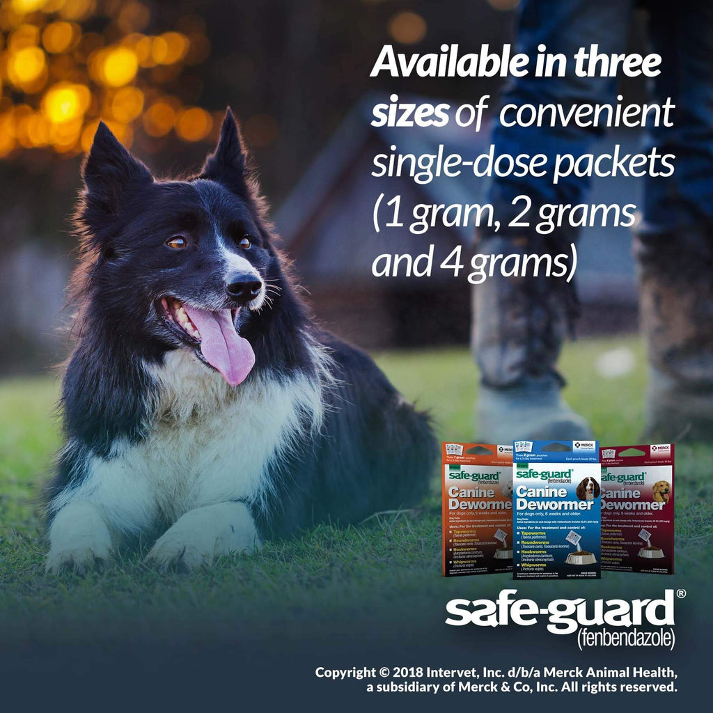 Canine Dewormer 4gm pouch O511381