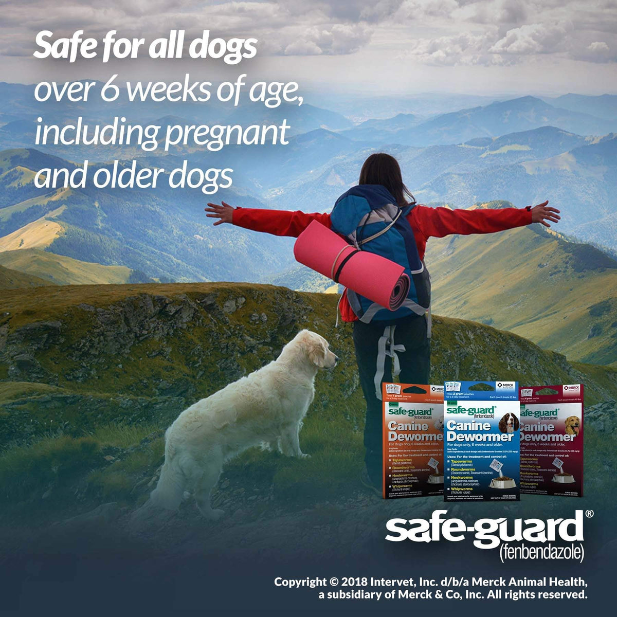 Canine Dewormer 4gm pouch O511381