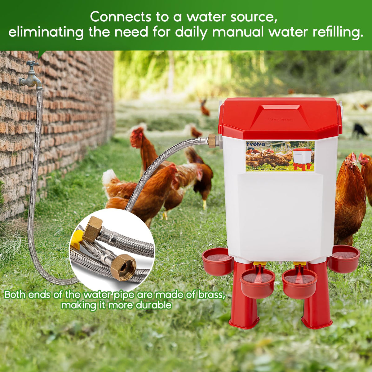Automatic Chicken Waterer with Four Water Cups N27656