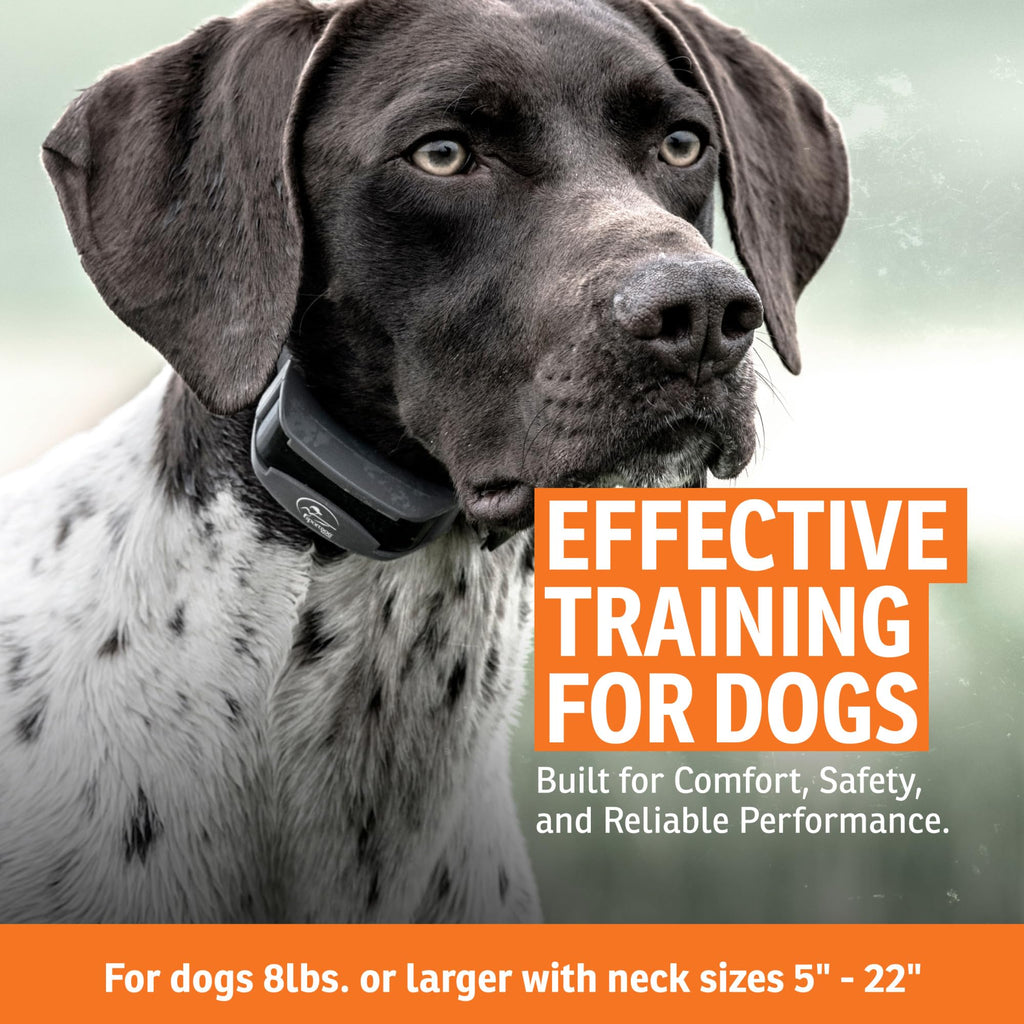 Add-A-Dog Waterproof Collar K4256